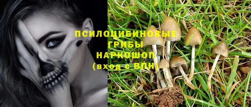 Псилоцибиновые грибы MAGIC MUSHROOMS  Таганрог 